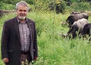 Ο κτηνοτρόφος που διασώζει στη φάρμα του στην Καλαμπάκα ελληνικές αρχέγονες φυλές ζώων