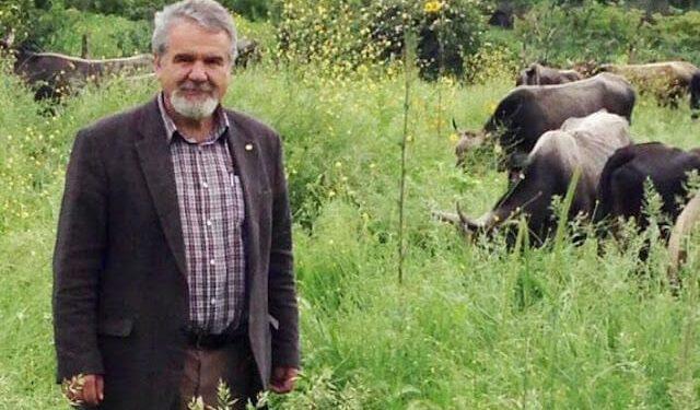 Ο κτηνοτρόφος που διασώζει στη φάρμα του στην Καλαμπάκα ελληνικές αρχέγονες φυλές ζώων