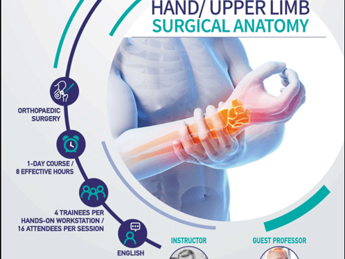 ΗΜΕΡΗΣΙΟ ΣΕΜΙΝΑΡΙΟ ΜΙΚΡΟΧΕΙΡΟΥΡΓΙΚΗΣ ΑΝΩ ΑΚΡΟΥ ΓΙΑ ΟΡΘΟΠΕΔΙΚΟΥΣ ΚΑΙ ΠΛΑΣΤΙΚΟΥΣ