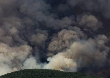 Έβρος: Μια αδιανόητη οικολογική καταστροφή – Ελάχιστοι συγκινήθηκαν!