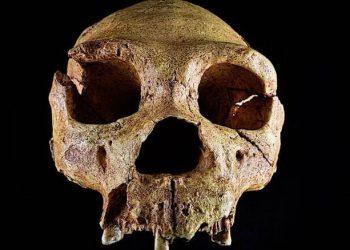 Τη στιγμή που η ανθρωπότητα σχεδόν αφανίστηκε εντόπισαν οι επιστήμονες