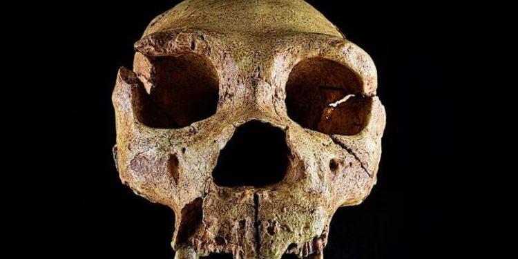 Τη στιγμή που η ανθρωπότητα σχεδόν αφανίστηκε εντόπισαν οι επιστήμονες