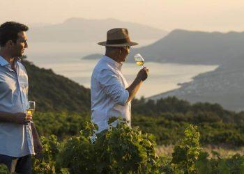 Αλλαγή «σκυτάλης» στον Οίκο Metaxa – Όταν η κληρονομιά συναντά τη βιωσιμότητα