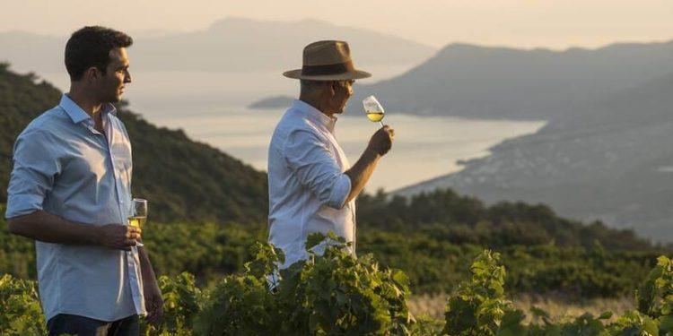 Αλλαγή «σκυτάλης» στον Οίκο Metaxa – Όταν η κληρονομιά συναντά τη βιωσιμότητα