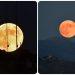 Πανσέληνος: Το «Φεγγάρι του Κυνηγού» γέμισε τον ουρανό σε όλο τον κόσμο