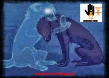 Δεν πρόκειται ποτέ να γιορτάσουμε την ημέρα των ζώων, όταν εκατομμύρια κακοποιούνται από τις αρχές και τους ζωοφιλικους μηχανισμούς