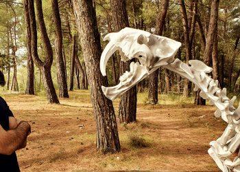 Ο ερευνητής και εικαστικός Κωνσταντίνος Φάης καλεσμένος στην εκπομπή «Παλαιόπαιδο» του Αντώνη Αβρίθη