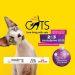 All About Cats Festival