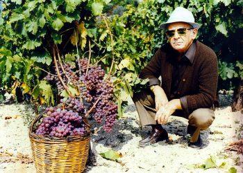 Τσάνταλης. Ο πρωτοπόρος της οινοποιίας που ήρθε πρόσφυγας από την ανατολική Θράκη. Πως στήριξε τους αμπελουργούς Τσάνταλης. Ο πρωτοπόρος της οινοποιίας που ήρθε πρόσφυγας από την ανατολική Θράκη.