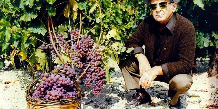 Τσάνταλης. Ο πρωτοπόρος της οινοποιίας που ήρθε πρόσφυγας από την ανατολική Θράκη. Πως στήριξε τους αμπελουργούς Τσάνταλης. Ο πρωτοπόρος της οινοποιίας που ήρθε πρόσφυγας από την ανατολική Θράκη.