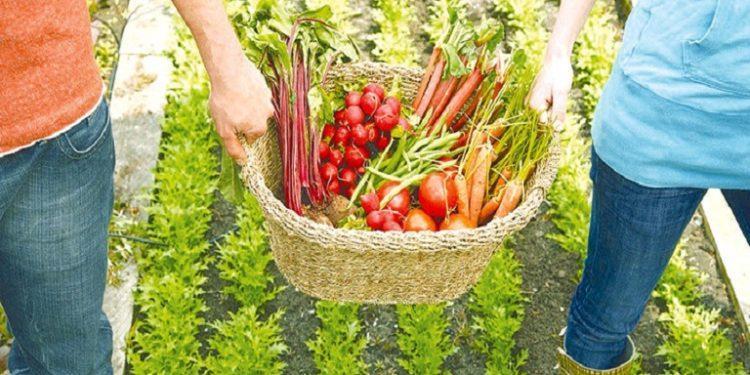 Κομισιόν: Καμπάνια 158 εκατ. ευρώ για την προώθηση ευρωπαϊκών γεωργικών προϊόντων