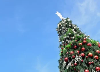 Στήθηκε στο Σύνταγμα το χριστουγεννιάτικο δέντρο ύψους 17 μέτρων από το Καρπενήσι