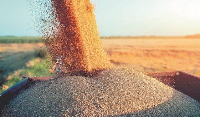 Το 1957 η Ελλάδα πέτυχε την αυτάρκεια σε μαλακό σιτάρι