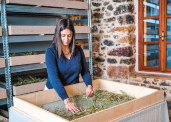 Νέος αγρότης της Χρονιάς η Αργυρώ Κουτσουράδη που τυποποιεί και εξάγει αρωματικά φυτά της Χίου
