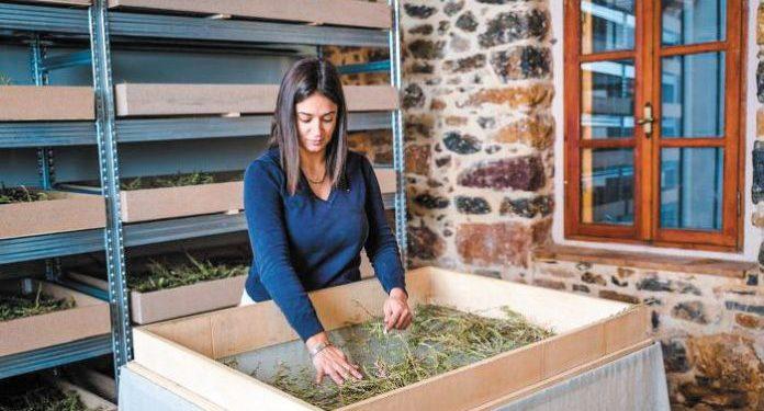 Νέος αγρότης της Χρονιάς η Αργυρώ Κουτσουράδη που τυποποιεί και εξάγει αρωματικά φυτά της Χίου