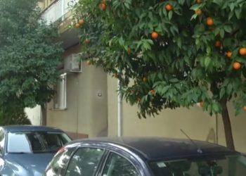 Δολοφονία στο Περιστέρι: Ποινική δίωξη για ανθρωποκτονία στον 35χρονο που σκότωσε τον πατέρα του