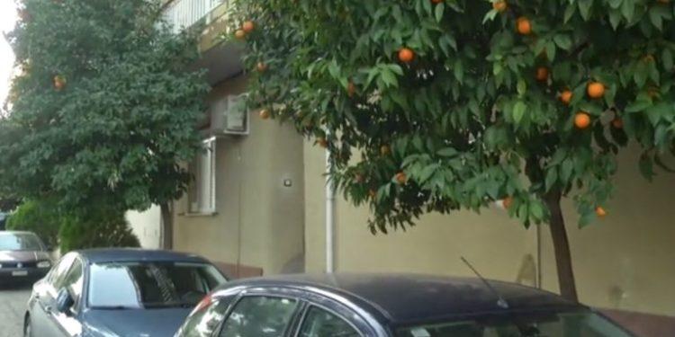 Δολοφονία στο Περιστέρι: Ποινική δίωξη για ανθρωποκτονία στον 35χρονο που σκότωσε τον πατέρα του