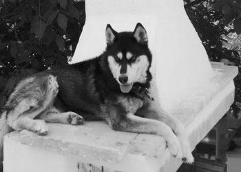 Ο Δημήτρης Σούρας σκιαγραφεί τον κακοκοποιητή του Όλιβερ: «Ψυχοπαθητικό άτομο, δυνάμει δολοφόνος ανθρώπου»