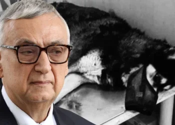 Ο Δημήτρης Σούρας σκιαγραφεί τον κακοκοποιητή του Όλιβερ: «Ψυχοπαθητικό άτομο, δυνάμει δολοφόνος ανθρώπου»