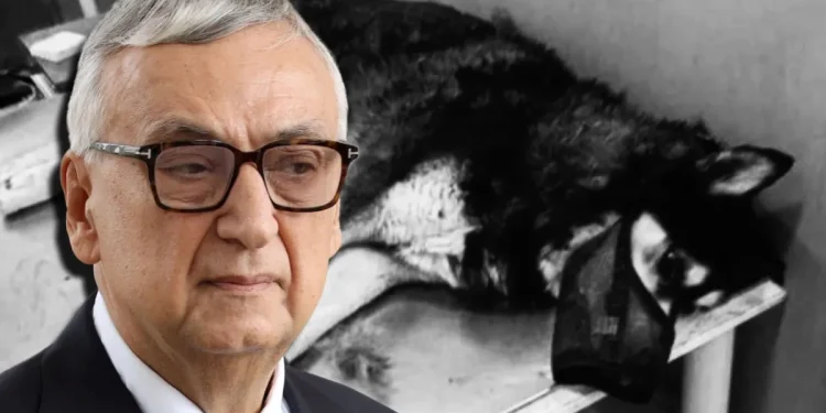 Ο Δημήτρης Σούρας σκιαγραφεί τον κακοκοποιητή του Όλιβερ: «Ψυχοπαθητικό άτομο, δυνάμει δολοφόνος ανθρώπου»