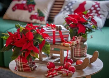 Αλεξανδρινό: Πρωτότυποι τρόποι να το προσφέρετε ως δώρο τις φετινές γιορτές