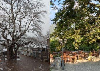 Άρνα: Το χωριό «στολίδι» της Λακωνίας που είναι «βουτηγμένο» στα καταπράσινο τοπίο του Ταϋγέτου