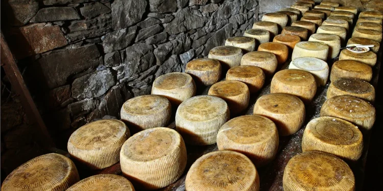 TasteAtlas:Επτά ελληνικά τυριά στα 100 καλύτερα του κόσμου