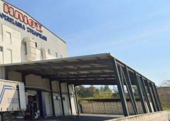 Ζυμαρικά «Ηλιος»: Εξαγωγές σε 7 νέες χώρες – Από Μάλτα μέχρι Ιαπωνία και Αυστραλία