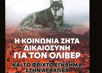 Αράχωβα: Το Ανθρωποκτονιών στην έρευνα για την κακοποίηση του 8χρονου σκύλου