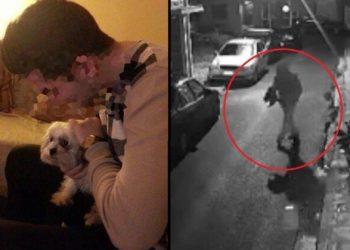 Βοτανικός: Καταδικάστηκε σε φυλάκιση ο 33χρονος που βασάνιζε και σκότωνε γάτες