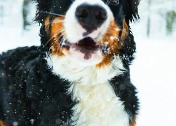 Κακοκαιρία- Καλλιάνος: «Σημαντική ψυχρή εισβολή- Άνω των 10 °C η πτώση θερμοκρασίας»