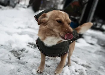 Κλειστά σχολεία σήμερα 22/01 σε πολλές περιοχές