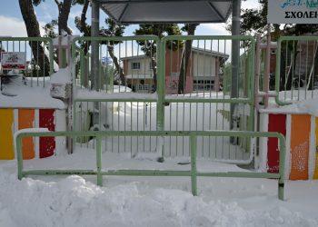 Κακοκαιρία Avgi: Έρχονται πολικές θερμοκρασίες – Τηλεργασία και κλειστά σχολεία