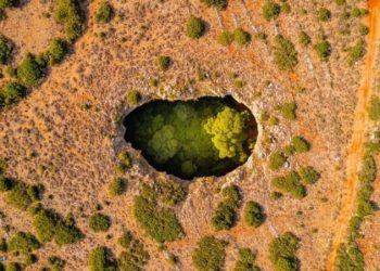 Τα κρυμμένα δάση μέσα στις μαύρες τρύπες της Μάνης