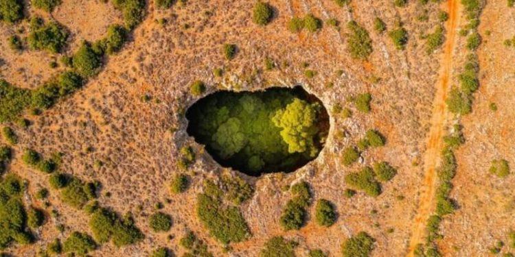 Τα κρυμμένα δάση μέσα στις μαύρες τρύπες της Μάνης