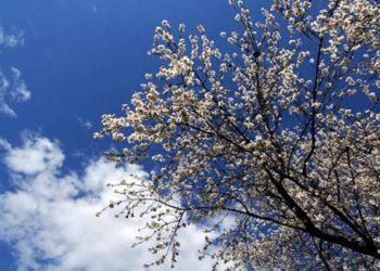 Πρόγνωση του καιρού – Κυριακή 4 Φεβρουαρίου 2024