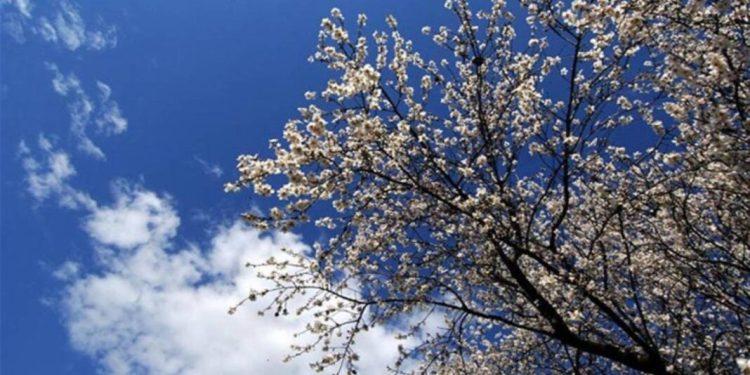 Πρόγνωση του καιρού – Κυριακή 4 Φεβρουαρίου 2024