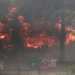 Χιλή: Τουλάχιστον 112 οι νεκροί από τις πυρκαγιές