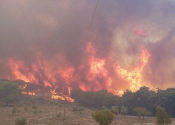 Ζάκυνθος: Νέα φωτιά στο νησί, 8 μποφόρ ο αέρας