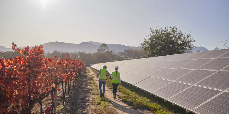 Μικροί εναντίον μεγάλων επενδυτών στις ΑΠΕ για να χωρέσουν στο δίκτυο