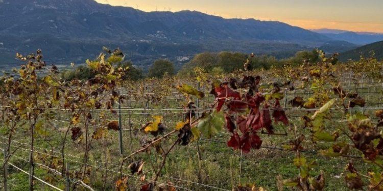 Μυτιλήνη: Πρότυπο παραγωγικό αγροτικό οικοσύστημα πολυετών καλλιεργειών