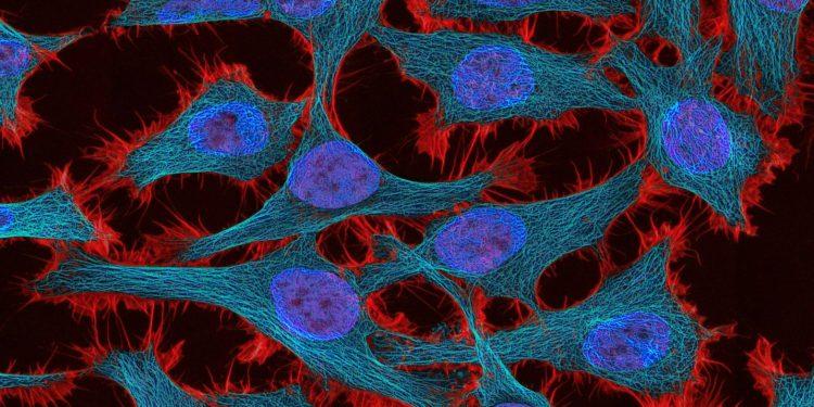 Οι σημαντικότερες εξελίξεις που περιμένουμε στην αντιμετώπιση του καρκίνου το 2024