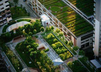 Πότε ξεκινά η εργοταξιακή δραστηριοποίηση – Ποιες εταιρείες επιλέγουν να επενδύσουν στο πάρκο της καινοτομίας