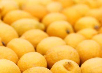 Λεμόνι από την Ινδία του 1739 πουλήθηκε 1.800 δολάρια σε δημοπρασία