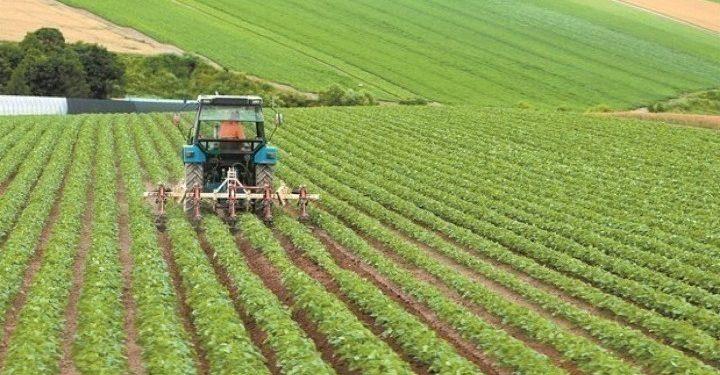 Αύξηση του προϋπολογισμού του Ταμείου Μικρών Δανείων Αγροτικής Επιχειρηματικότητας