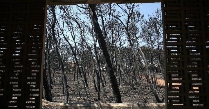 Συνεχίζει την πρόταση του ο Εισαγγελέας στη δίκη για το Μάτι – Ποιους κρίνει ενόχους, ποιους απαλλάσσει, για ποιους θα τοποθετηθεί σήμερα