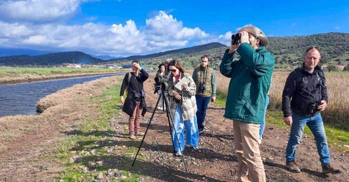 Μυτιλήνη: Η πρώτη ανοιξιάτικη παρατήρηση πουλιών και φυτών