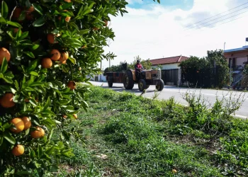 Αγρότες: Μονιμοποιείται η απαλλαγή από το τέλος επιτηδεύματος