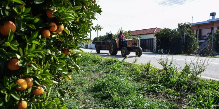 Αγρότες: Μονιμοποιείται η απαλλαγή από το τέλος επιτηδεύματος