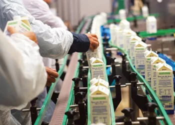 Ανάλυση των Οικονομικών Αποτελεσμάτων της Εβροφάρμα ΑΕ για το 2023: Αύξηση Κερδών και Στρατηγικές Κινήσεις για το Μέλλον